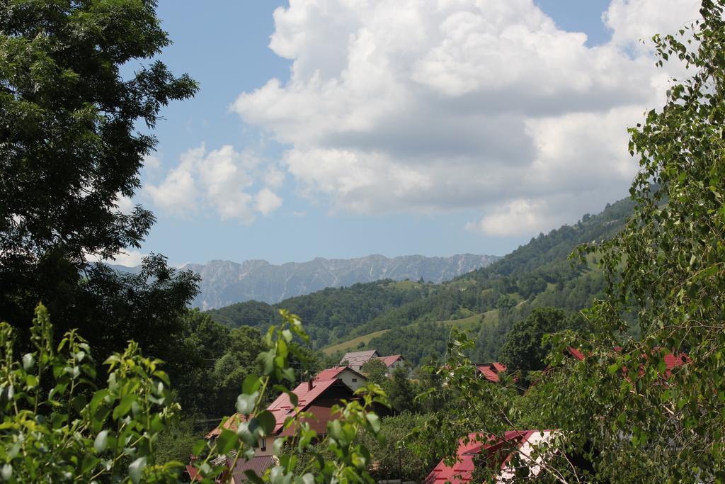 Teo Guesthouse Bran  Exterior photo